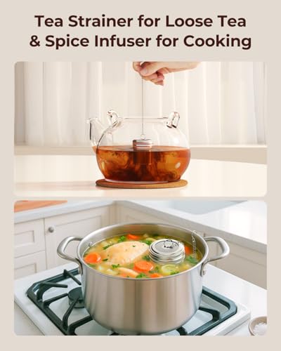 2 Pack Reinmoson Large Tea Infuser for Loose Tea & Spice Ball for Cooking (Large)