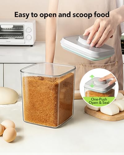 Food Storage Container Sets (4L*2+2.65L)
