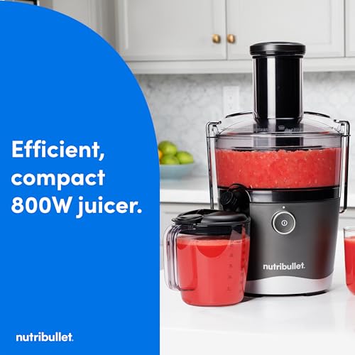 Juicer 800W Juicer