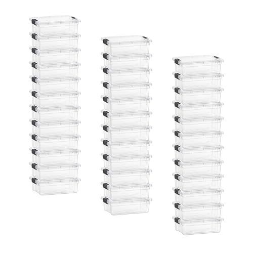 4.5 Quart Clear Plastic Storage Containers with Lids (4.5 Quart)