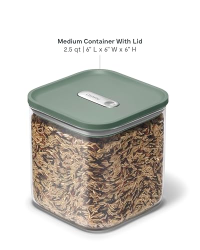 2.5 qt Glass Airtight Food Storage Container with Lid (Sage / 2.5qt Container)