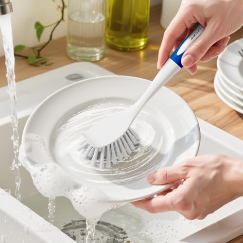 Dish Brush with Handle (2 Count)