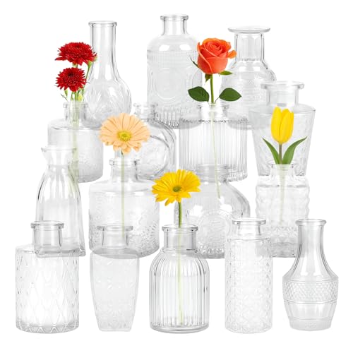 Glass Bud Vase Set of 16 Pcs