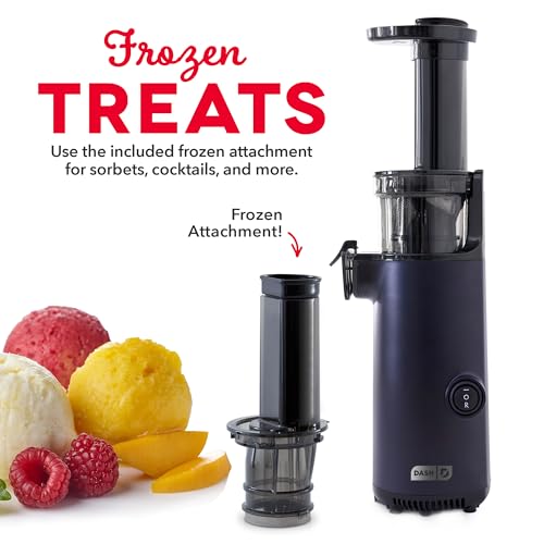 Deluxe Compact Cold Press Juicer (Compact / Black)
