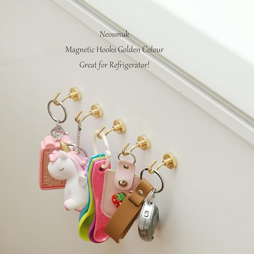 Magnetic Hooks (10 Count)
