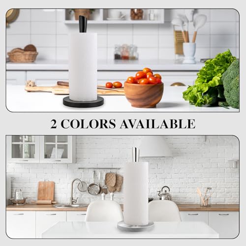 Stainless Steel Paper Towel Holder (Sliver Stainless Steel)