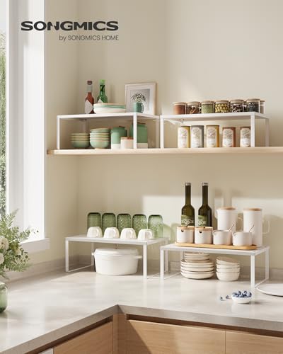 Set of 2 Metal Spice Racks (White / 2 Tiers (9"D x 15.7"W))