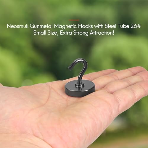 Magnetic Hooks (Gunmetal / 1.02 inches)