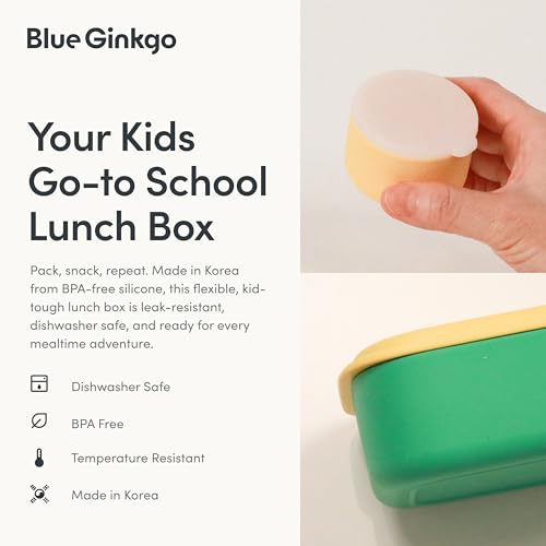 Bento Style Silicone Lunch Box Set