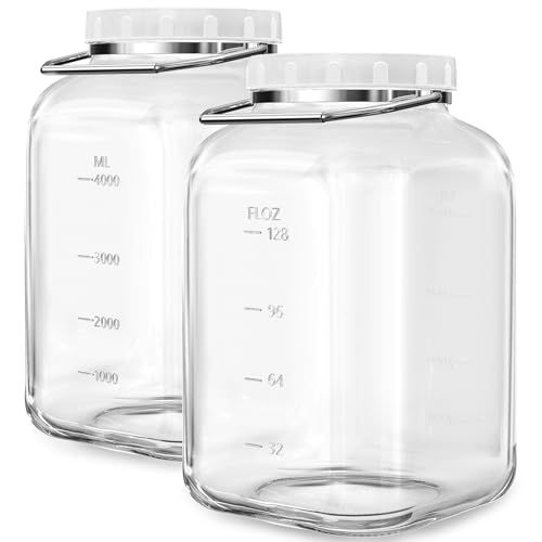 1.5 Gallon 5700 ML Glass Jar with Lid (1.5 Gallon)