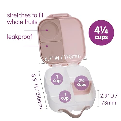 Mini Lunch Box