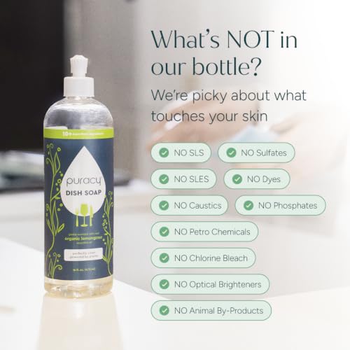 Natural Dish Soap Refill (48 Fl Oz)