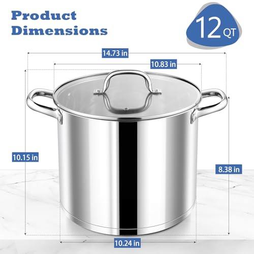12 QT Stainless Steel Stock Pot with Lid (12 Quarts)