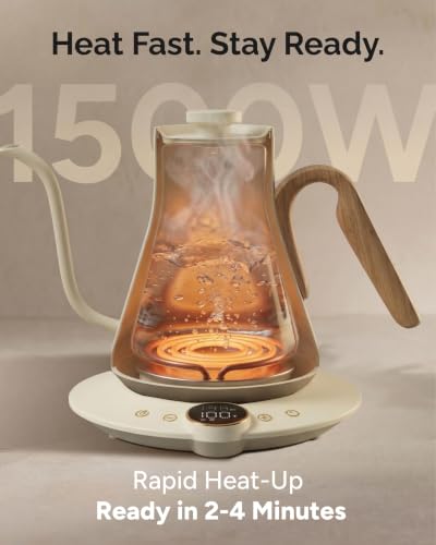 Gooseneck Electric Kettle (Morandi White)