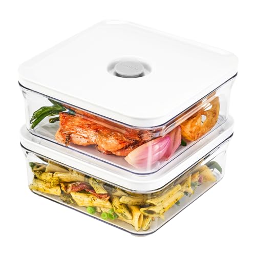 Premium Airtight Food Storage Containers (MINI SQUARE 0.8LX2PCS)