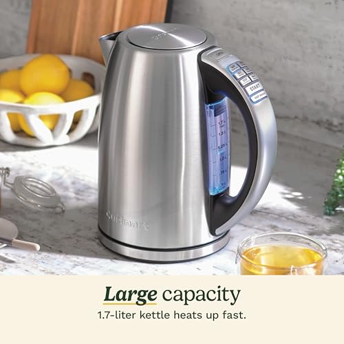 Electric Kettle (Stainless Steel / PerfecTemp)
