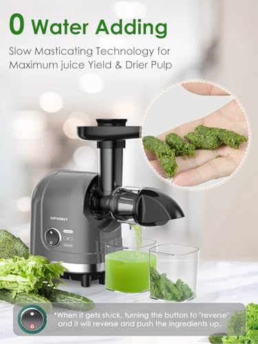Masticating Juicer Machine 200W Slow Cold Press Extractor for Veggie (Grey)