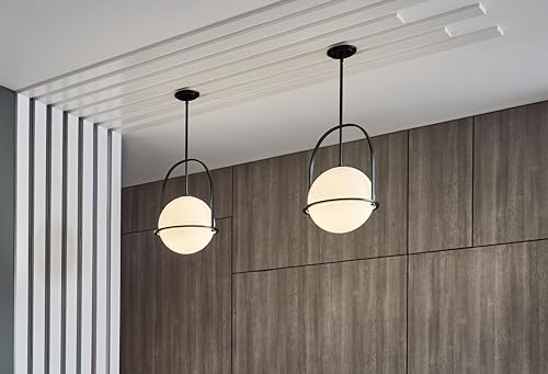 Somerset Medium Adjustable Pendant Light (Black / Large)