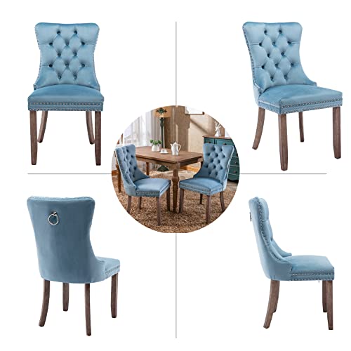Light Blue Velvet Dining Chairs Set of 4 (Light Blue)