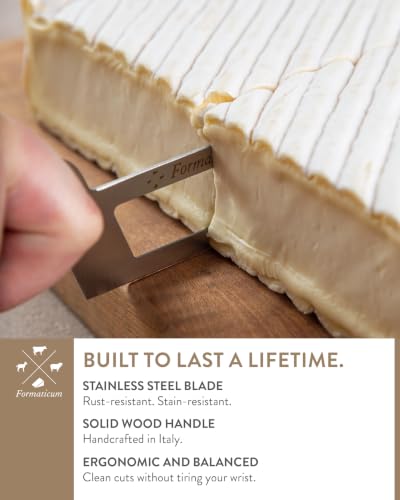 Professional Soft Cheese Knife w