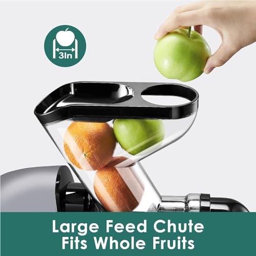 Juicer Machines (Silve)