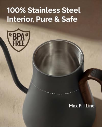 Gooseneck Electric Kettle with Precise ±1℉ Temperature Control (Matte Grey)