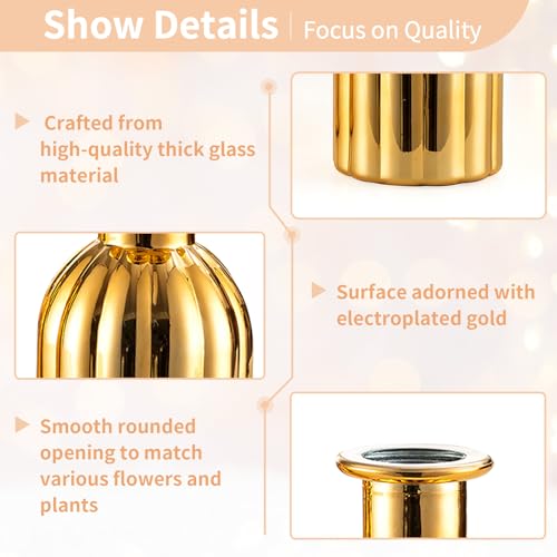 Gold Glass Bud Vases (Style 2)