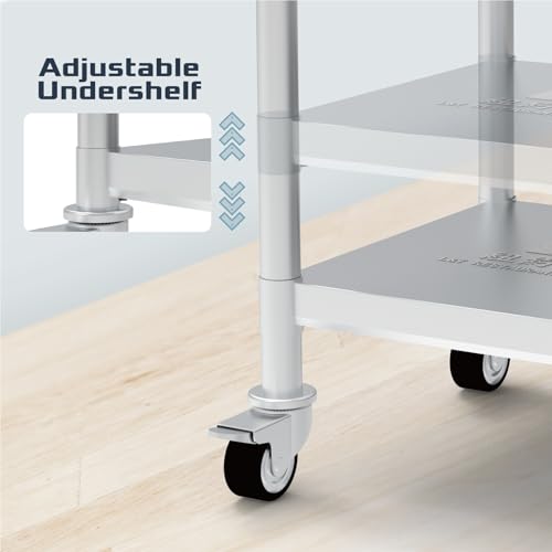 24" x 24" Stainless Steel Rice Cooker Stand and Cart with Wheels & Brakes (24 x 24 x 38 inch)