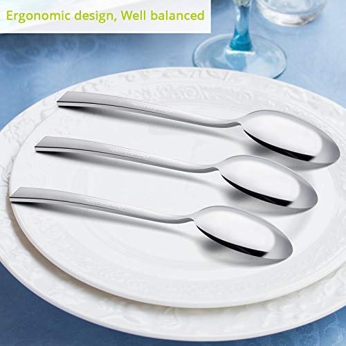 Dinner Spoons Set of 6 (7.9 Inches(Silver))