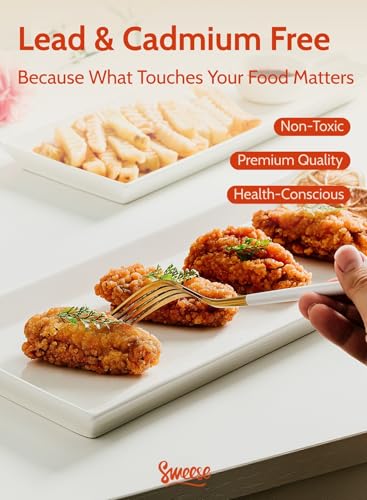 Rectangular Porcelain Platters (13.8 Inch)