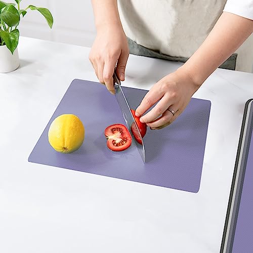 Flexible Plastic Cutting Boards for Kitchen Set of 10 (Multi Color - S&L - 10)
