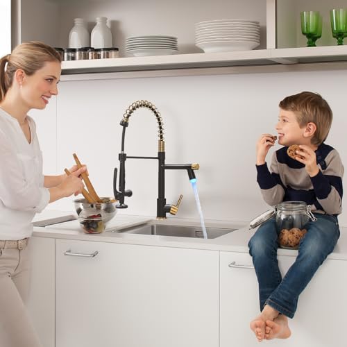 LED Kitchen Faucet with Pull Down Sprayer (Black&Gold)