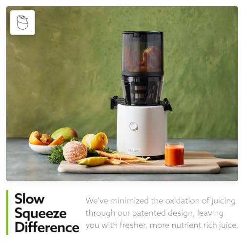 H320 Cold Press Juicer Machine (Black Slow Juicer)