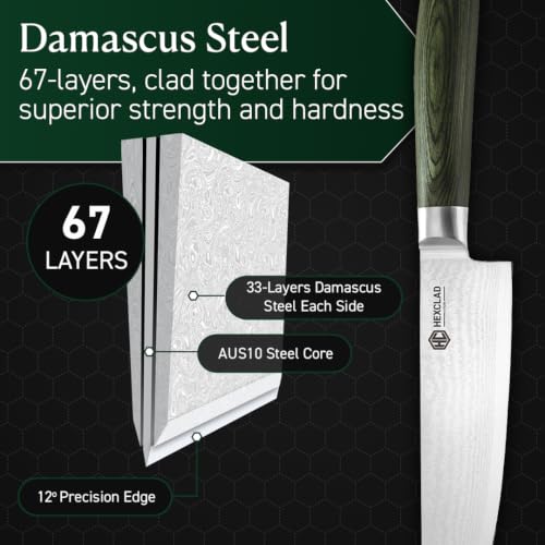 8" Japanese Damascus Stainless Steel Chef Knife (8-Inch Chef's Knife)