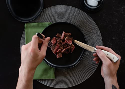 4 Piece Serrated Kitchen Steak Knife Set