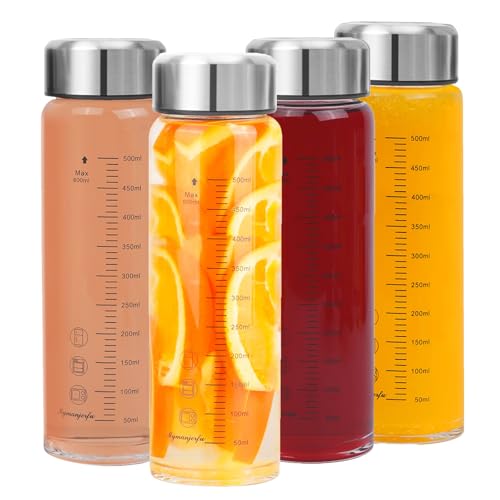 Glass Juice Bottles 4 Pack 20 oz (4-Pack / 20 oz/600 ml)