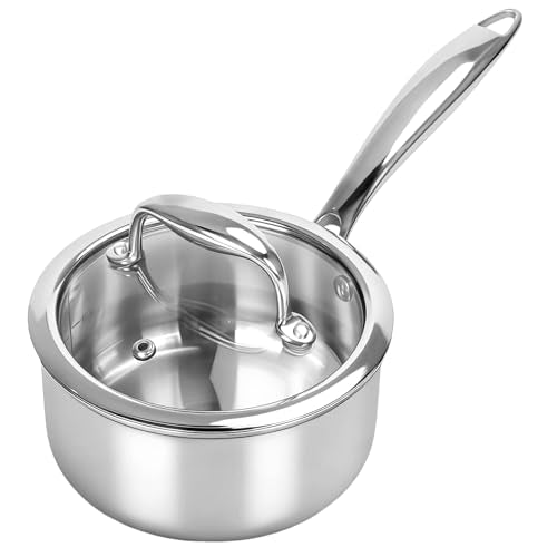 Sauce Pan with Glass Lid (1 QT / Silver)