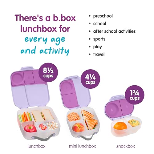 Snack Box Snack Containers for Kids (1-pack / Suger Plum)
