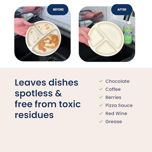 Non Toxic Dish Soap Kit (16 Fl Oz)