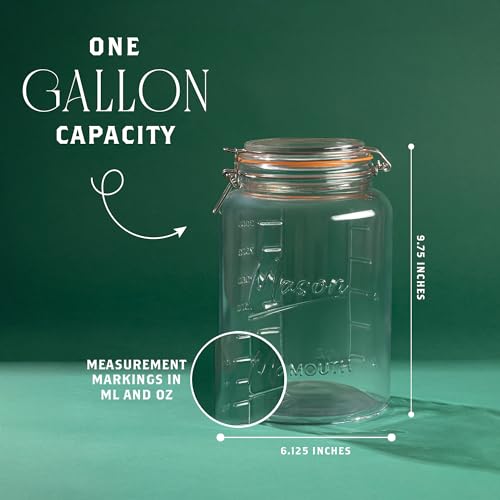 1 Gallon Glass Jar with Hinged Clamp (Gallon Jar - Pack of 1)