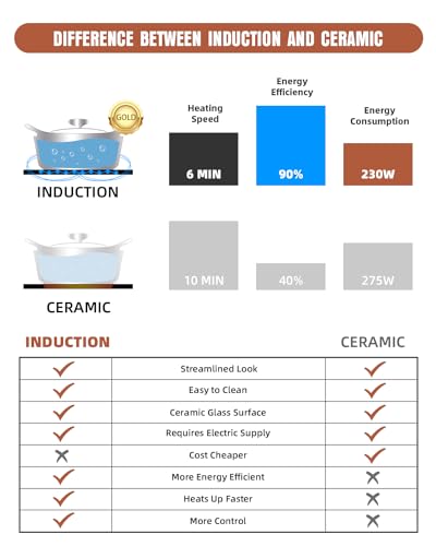 Electric Stove Induction Cooktop Vertical with 2 Burners Vitro Ceramic Smooth Surface Glass in Black 120V