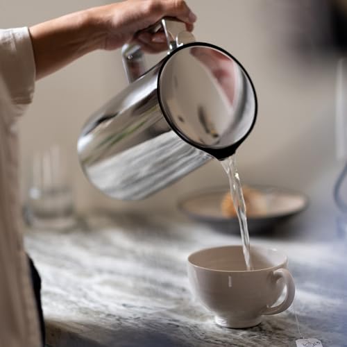 Kettle Electric Stainless Steel Tea Kettle 1.2L (Steel)