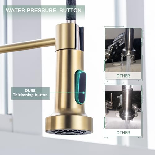 Pull Down Kitchen Faucet (Gold)