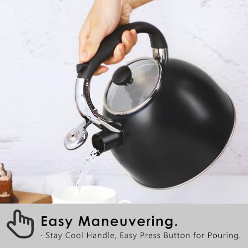 2.6 Quart Whistling Stainless Steel Tea Kettle for Stovetop (T-11BK)
