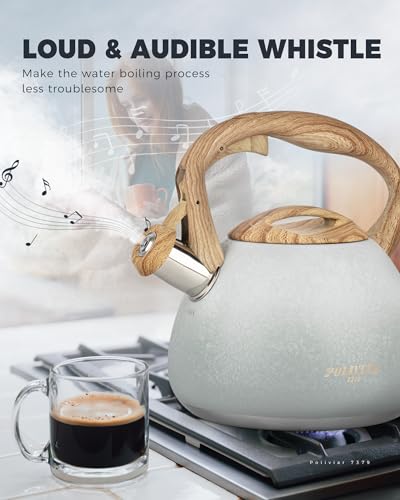 POLIVIAR Tea Kettle (2.7 Quarts / Crackle-Grey)