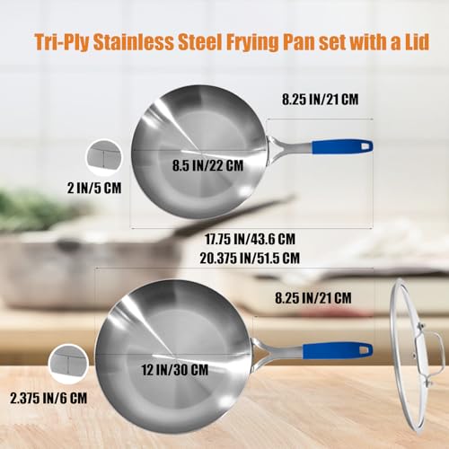 8.5 12 Inch Stainless Steel Pans Set with Lid