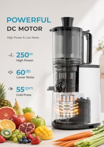 Cold Press Juicer