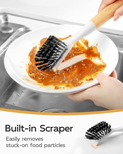 Dish Brush with Handle (2 Count)