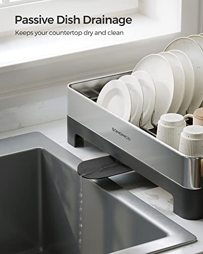 Dish Drying Rack (Silver + Black / 12.5"D x 22.5"W x 9.7"H)