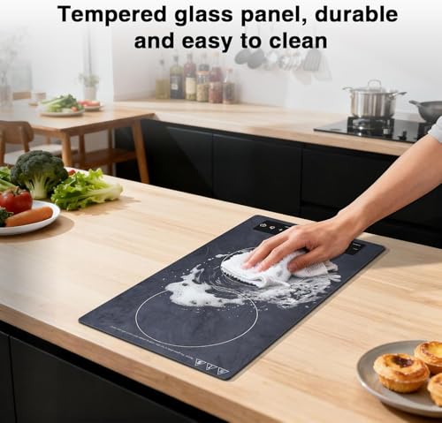 Double Induction Cooktop Portable Electric Cooktop 12'' Hot Plate (12 Inch Gray)